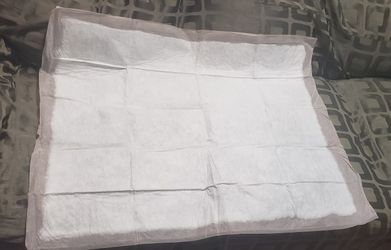 Disposable Underpads/Almohadillas Absorbentes / Paquete de 25