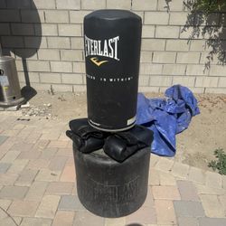 Everlast Punching Bag