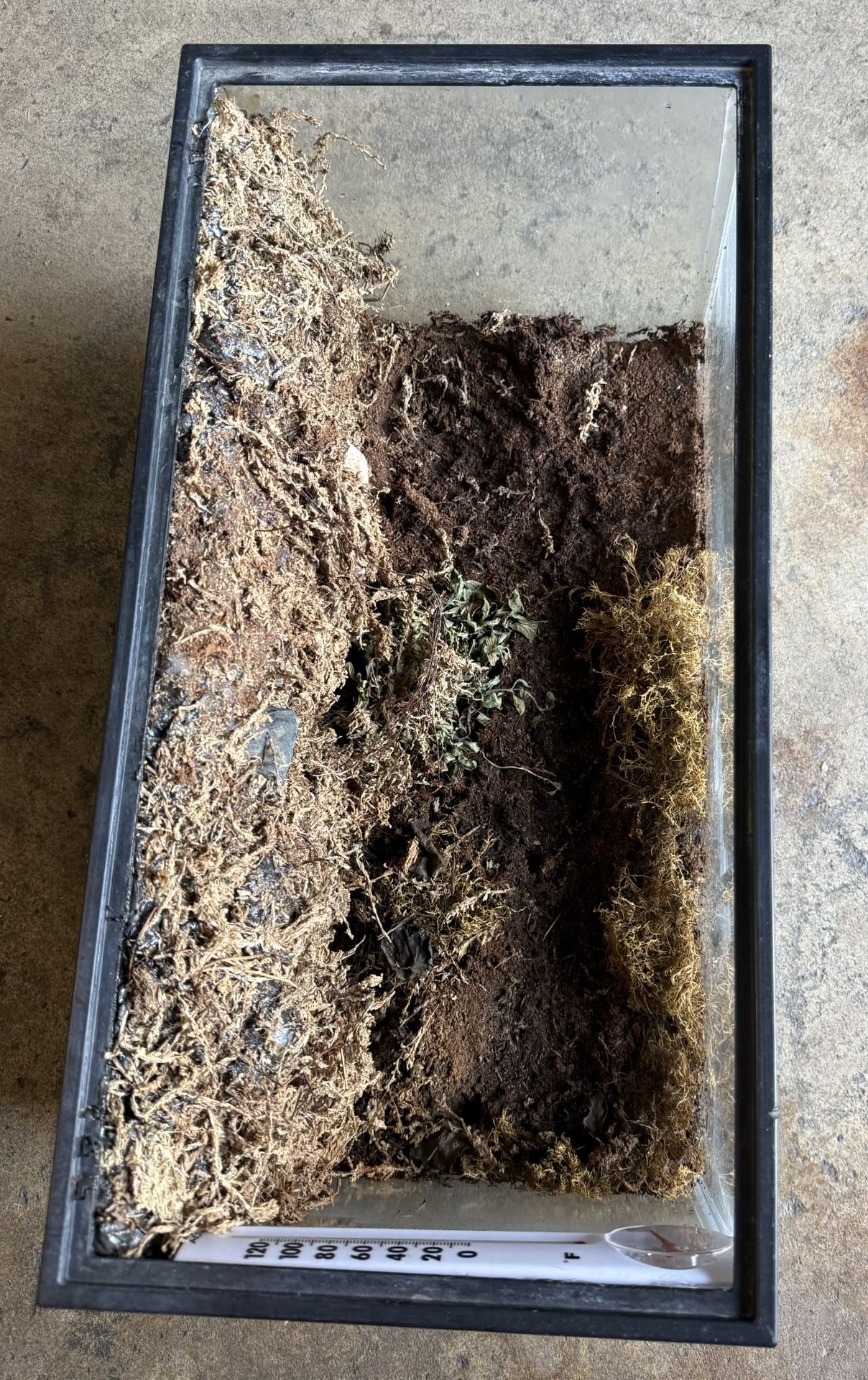 10 Gal Terrarium