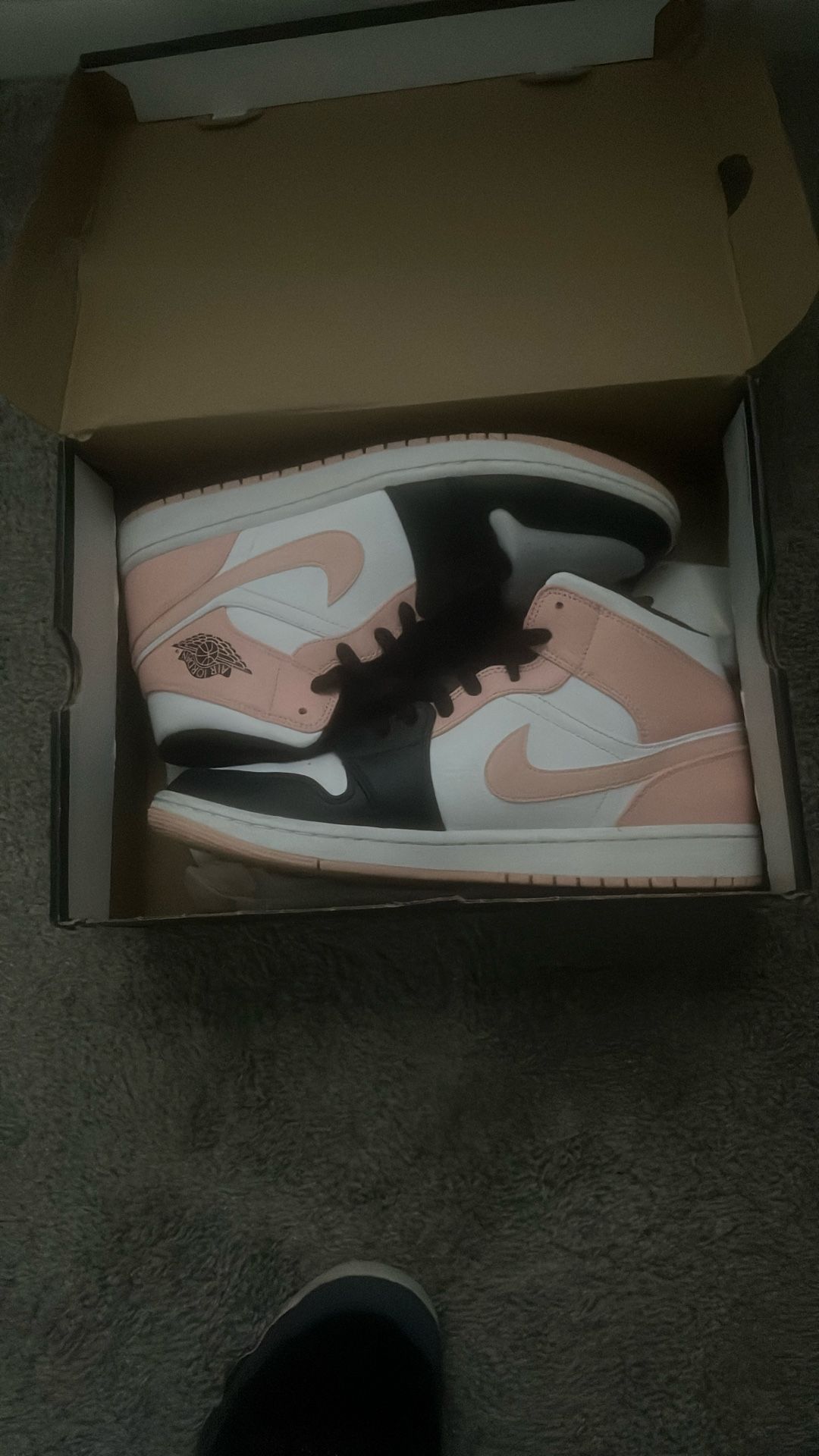 Air Jordan 1’s