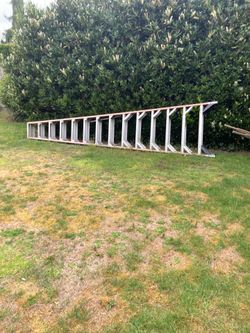 14 ft ladder