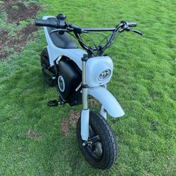 Mini Electric Bike Burrow Max
