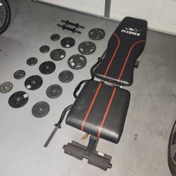 Used Weight Lifting Equipment