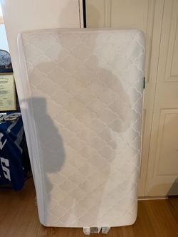 Newton mattress with newton mattress protector