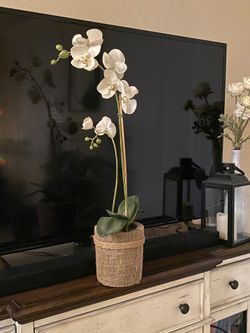 Fake orchid