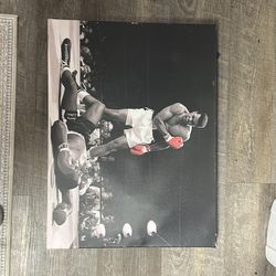 20 x 30 Ventura Picture Frame