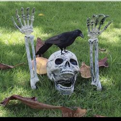 Halloween Decoration Skull Crow RIP Horror House SkeletonOutdoor Graveyard  Make it an easy way to decorate your home and yard for Halloween   Setting