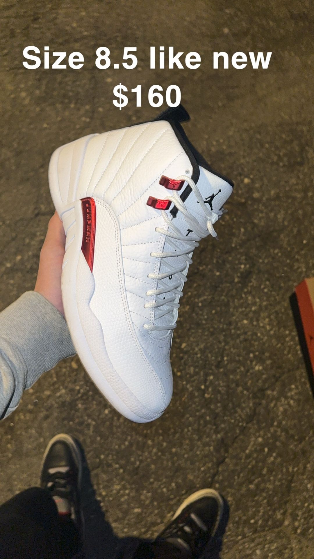 Size 8.5 Jordan 12 Twist 