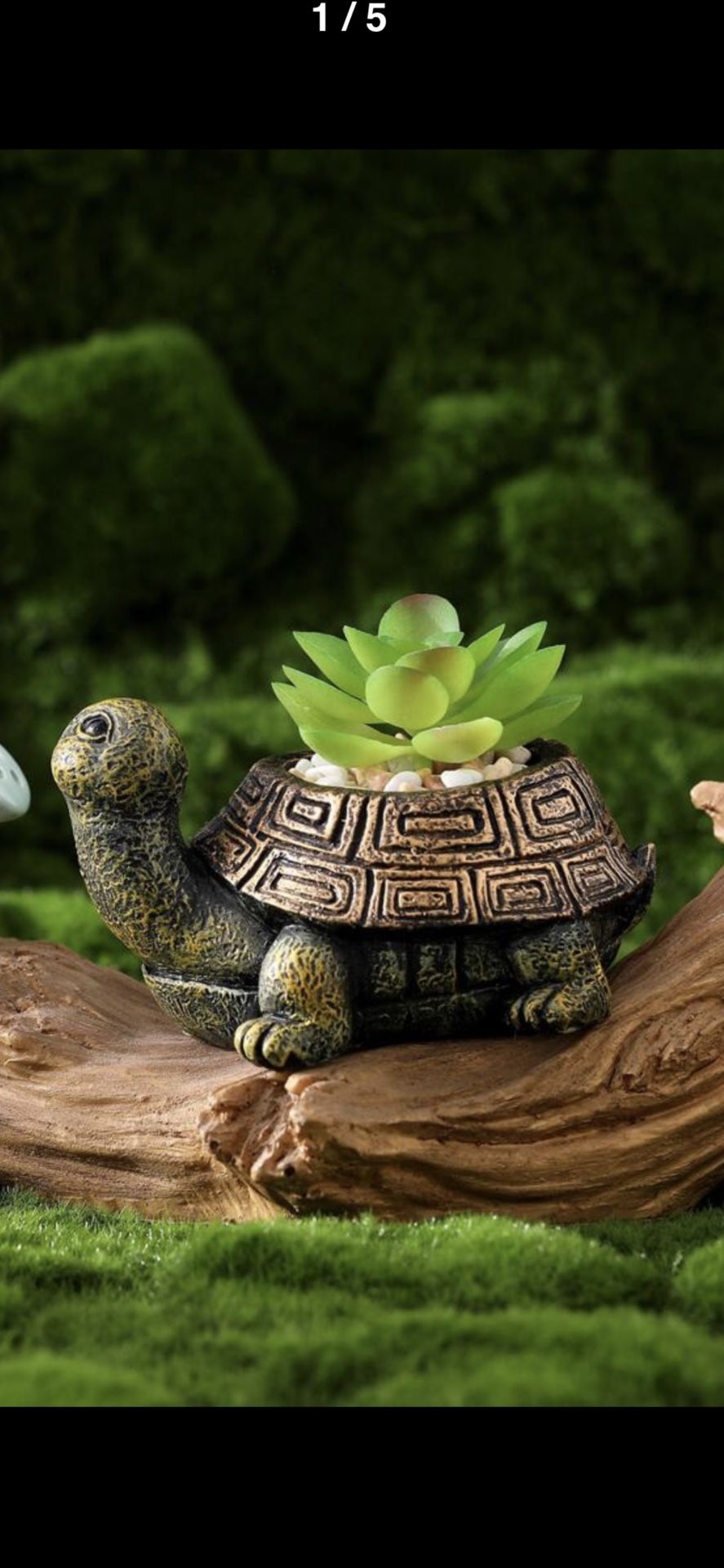 Turtle Figurine With Real Succulent Plant