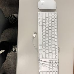 Apple Magic Mouse And Keyboard 