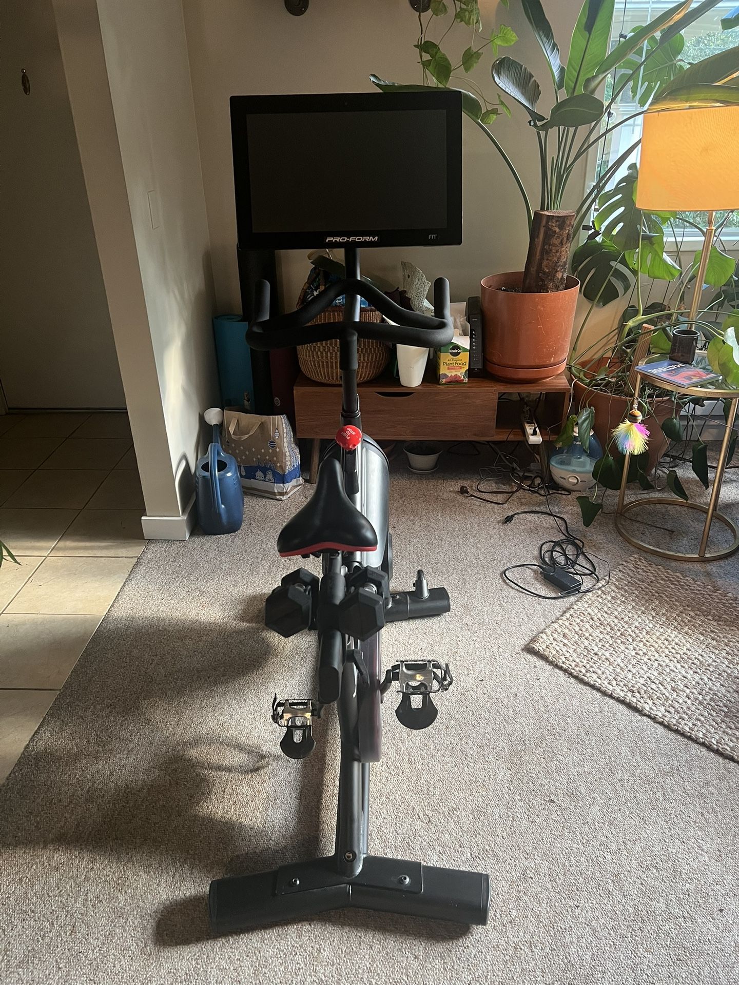 ProForm Exercise Bike