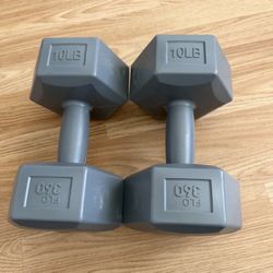 FLO 360 10LB Each Dumbbell Set 