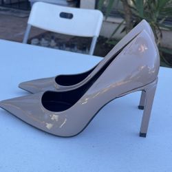 Zara Pointy Toe Heel