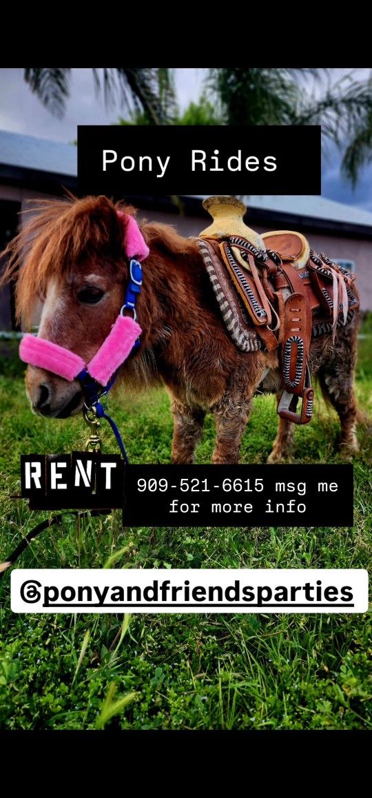 Mini Horse Pony Saddle Leather 