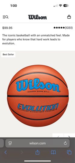 Wilson Evolution Basketball