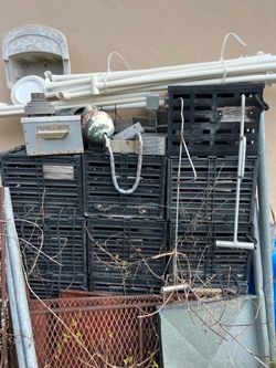 Stone Crab Traps (10)