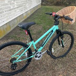 Ladies  Cruiser Bicycle 