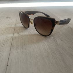 Tortoise Brown