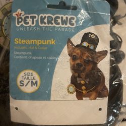 Pet steampunk Costume 