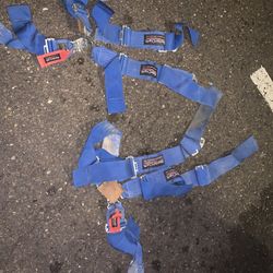 Racing  belts 4 points