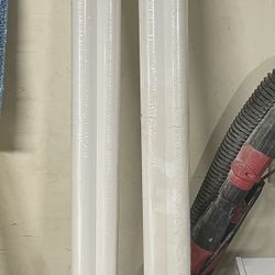 T12 Lightbulbs 48” 