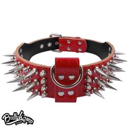 2” & 3”SPIKED COLLARS