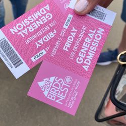 Birds Nest Duran Duran