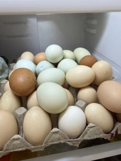 Farm fresh eggs in Merced