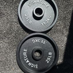 Olympic Weights 