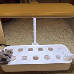 Hydroponic Indoor Growing System 