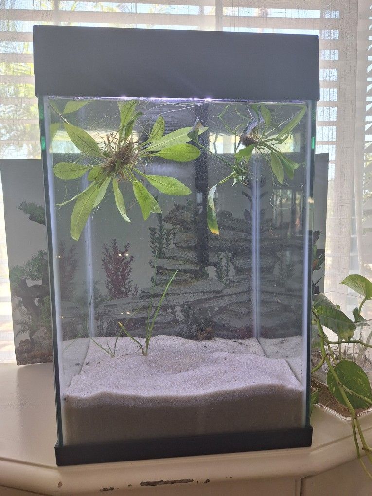 10 Gallons Fish Tank