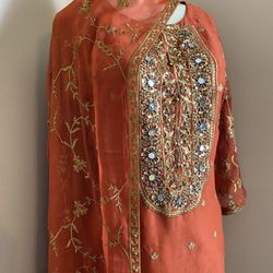 Beautiful Fashion Pakistani/Indian dress 