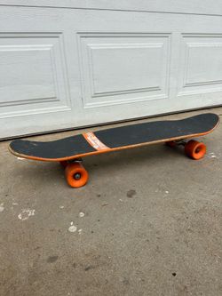 Zip Zinger Custom Skateboard - independent trucks