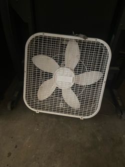 Fan