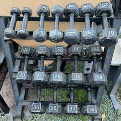 5-40lb Hex Iron Dumbbell Set Weights With Rack