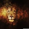LIONHUNT 79