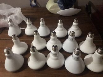 LED dimmable recessed lights