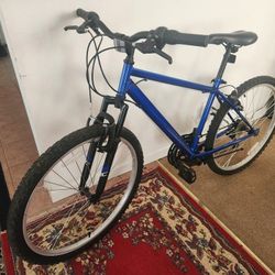 Good Bike (Huffy) 24 Inch
