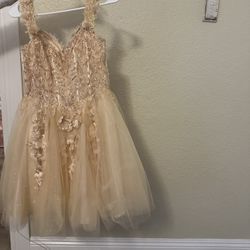 Ladvine Gold Champagne Dress