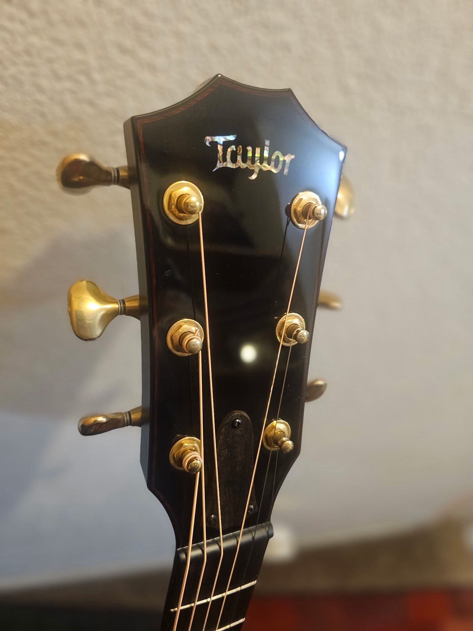 Taylor Custom Made Limited Addition Only One Made