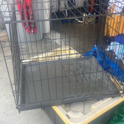 For Dog 