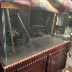 Aquarium For $100