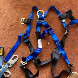 Condor harness and lanyard 