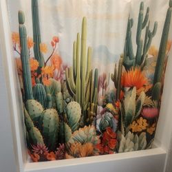 New Shower Curtain