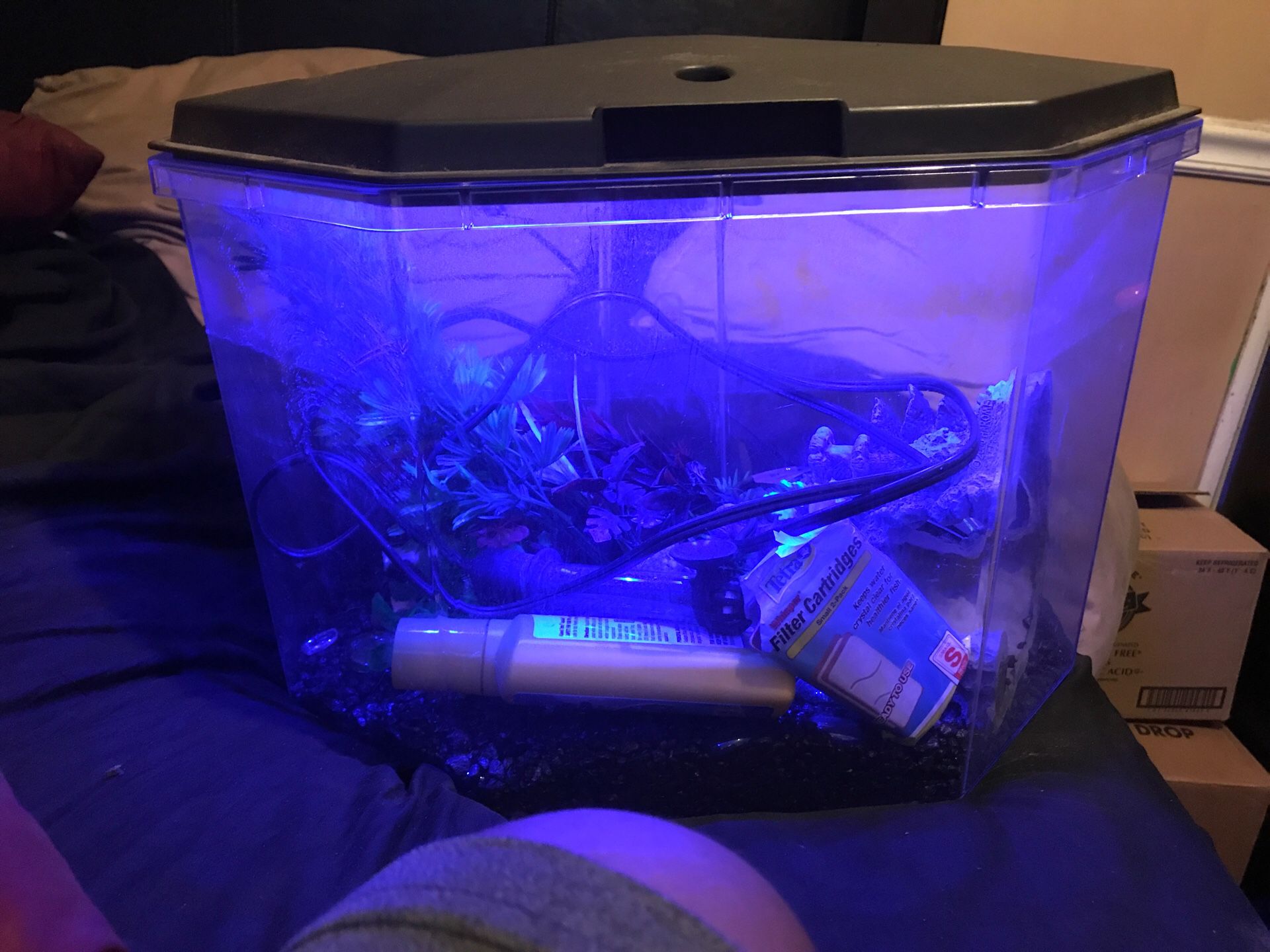 5.5 gallon LED fish tank