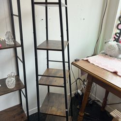 5 Tier Ladder Shelf 