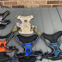 Medium dog harness $15 each