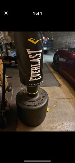 Powercore Punching Bag
