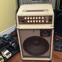 Workingman’s California Blonde Acoustic Instrument Amplifier