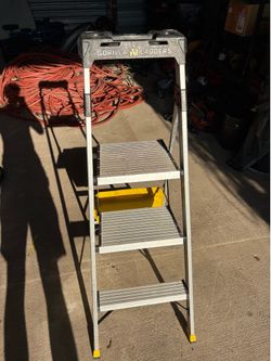 Gorilla Step Ladders!